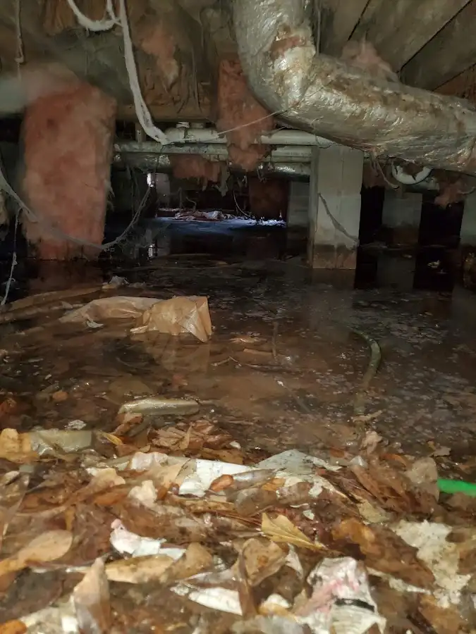 Crawl space flood assessment for Leak Detection & Repair in Archer Lodge